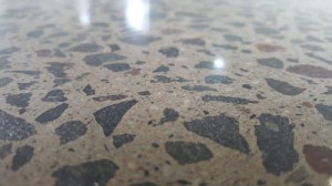 Eco Grind - Polished Concrete Floor Cairnlea (7)